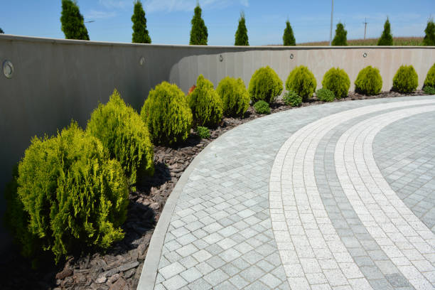 Best Professional Driveway Pavers  in Lake In The Hls, IL